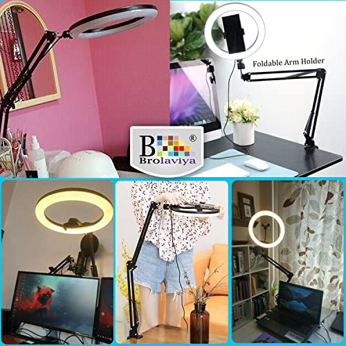 BROLAVIYA Overhead Video Mobile Stand with RGB Color 10inch Ring Light, Metal Arm,1/4" Male Adaptor for Camera,Gopro,Mobile Bracket for Video,Desktop,Bedroom, Office - Image 2