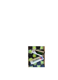 TecniFibre Tecnifibre Padel Team Balls, 3-Ball Can  - Image 4