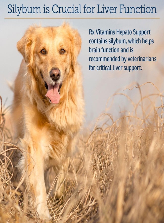 Rx Vitamins Liquid Hepato Support for Dogs & Cats - Liver Support Supplement with Milk Thistle for Dogs (Silymarin & Silybinin) and Vitamin B - Bacon Flavor (4oz) - Image 4