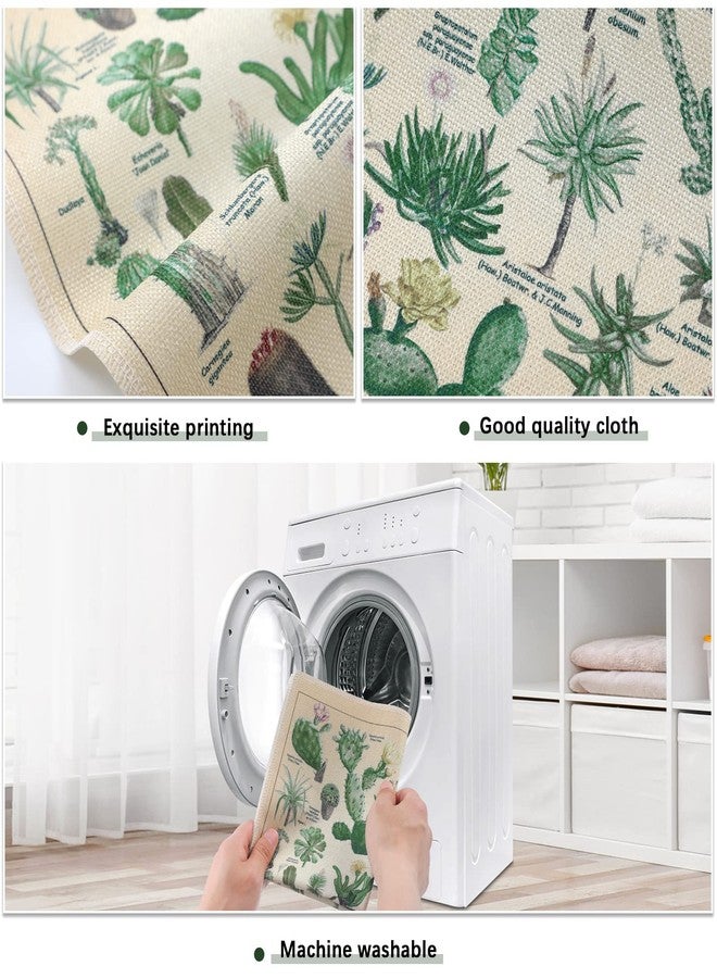 Fainne Set of 6 Plant Poster Vintage Botanical Prints 12 x 16 Inch Decorative Wrap Poster Tree Art Picture Vintage Mushroom Floral Nature Decor Cactus Prints(Linen) - Image 4