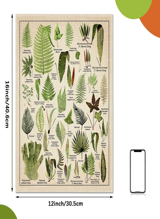 Fainne Set of 6 Plant Poster Vintage Botanical Prints 12 x 16 Inch Decorative Wrap Poster Tree Art Picture Vintage Mushroom Floral Nature Decor Cactus Prints(Linen) - Image 2