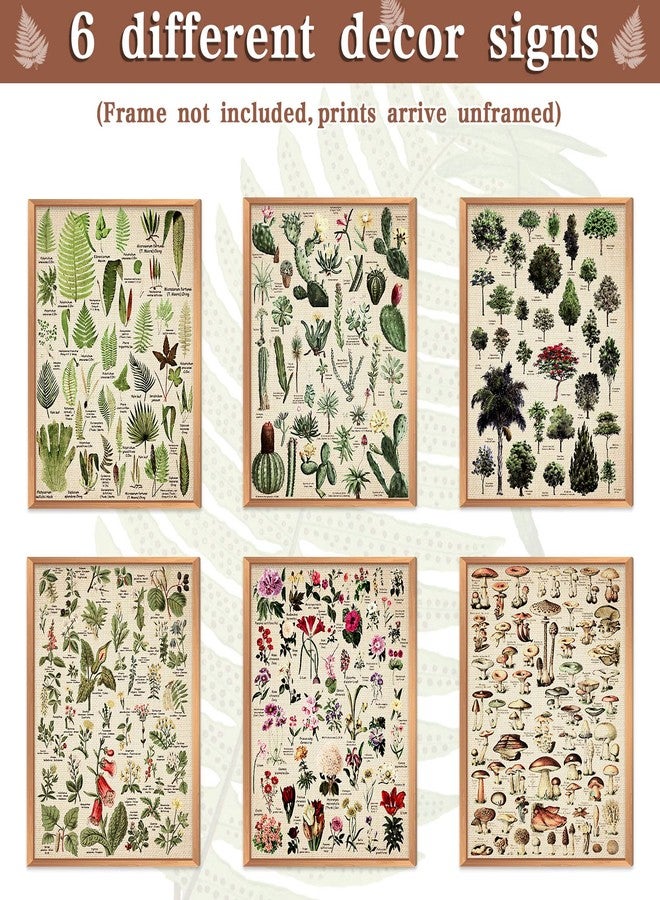 Fainne Set of 6 Plant Poster Vintage Botanical Prints 12 x 16 Inch Decorative Wrap Poster Tree Art Picture Vintage Mushroom Floral Nature Decor Cactus Prints(Linen) - Image 3