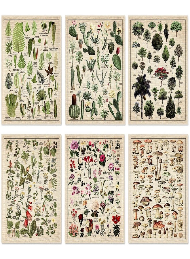 Fainne Set of 6 Plant Poster Vintage Botanical Prints 12 x 16 Inch Decorative Wrap Poster Tree Art Picture Vintage Mushroom Floral Nature Decor Cactus Prints(Linen) - Image 1