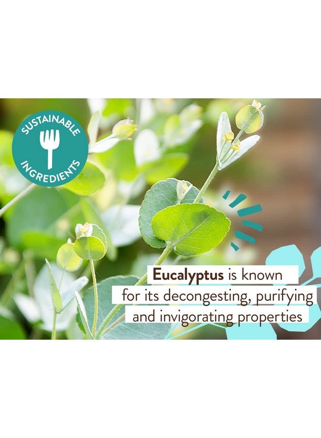 Babo Botanicals Eucalyptus Remedy Plantbased Shampoo & Wash With Eucalyptus & Rosemary Essential Oils Suitable For All Ages Ewg Verified Vegan & Cruelty Free 16 Fl. Oz. - Image 4