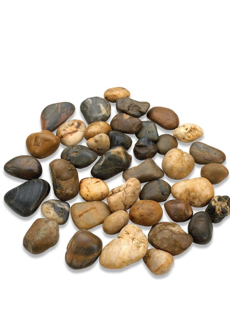 سي او أرماء مجموعة احجار طبيعية ملونة مناسبة لتزين الاشجار والحدائق واحواض اسماك الزينة - Image 2