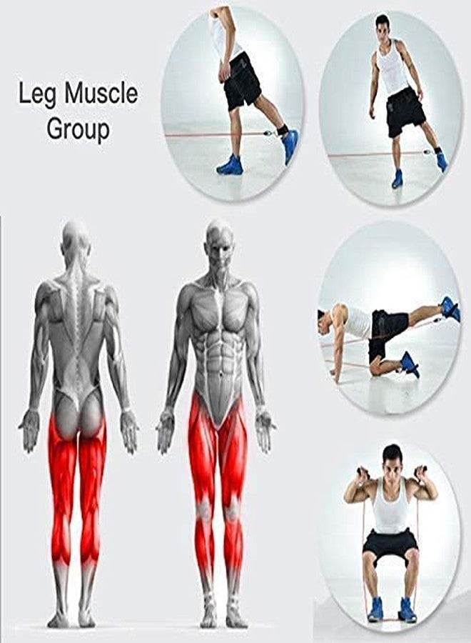 XTROKE Double Toning Resistance Tube Heavy Quality Exercise Band for Stretching, Full Body Workout, Home Gym and Toning for Men and Women - Image 5