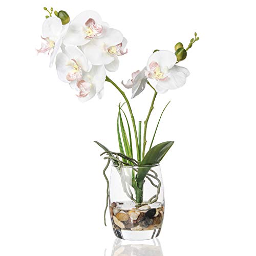 Jusdreen 1 Pcs Glass Vase Artificial Orchid Flower Bonsai Vivid Phalaenopsis Flowers Potting for Home Office DcorTable Centerpiece Room Decorations 145 INCH Glass VaseWhite Orchid