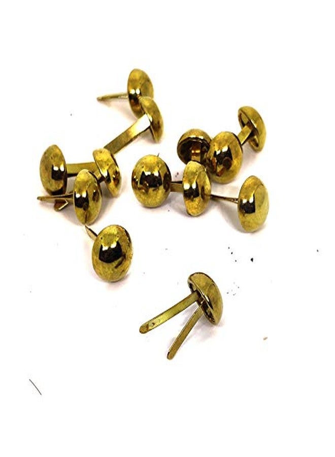 Nimida Brad Pins/Split Pin/Rivet/Stud/Skull pins/Spikes/Paper Fastener for Scrapbooking, DIY, Leather Goods, | Golden Colour | Pack of 100 - Image 3