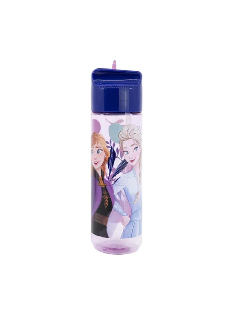 STOR Stor 540ML Large Ecozen Hydro Bottle Frozen Trust The Journey  - Image 1