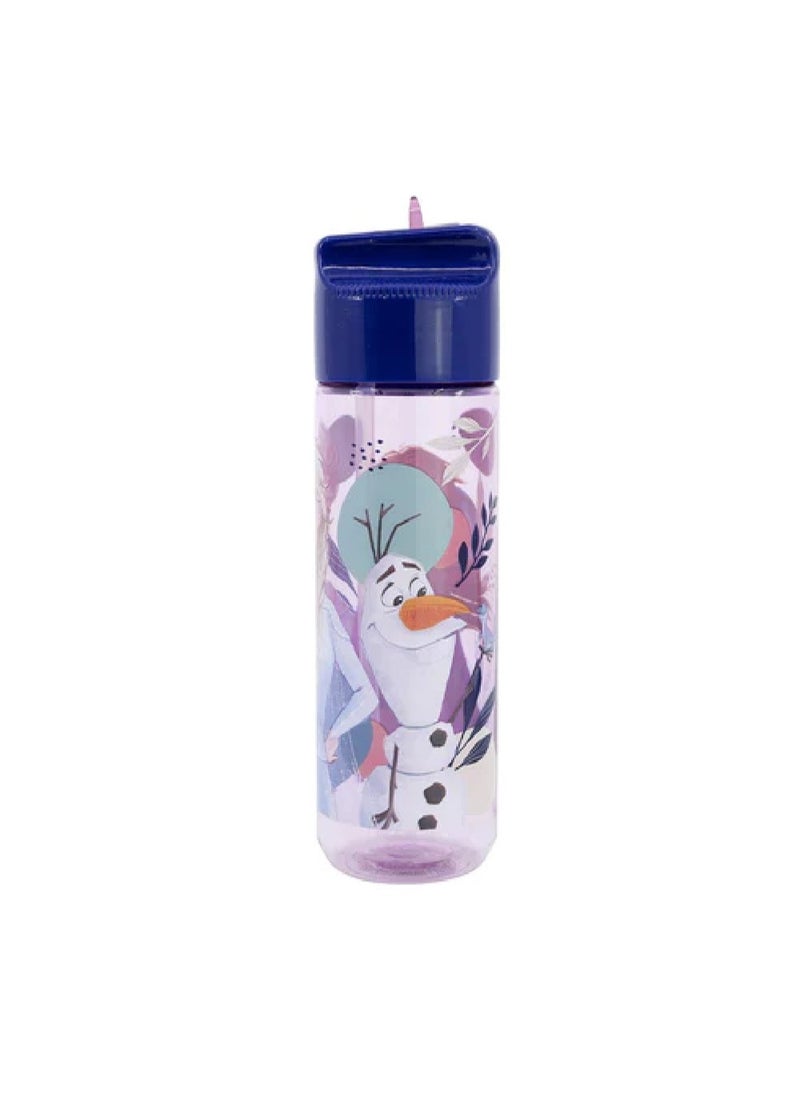 STOR Stor 540ML Large Ecozen Hydro Bottle Frozen Trust The Journey  - Image 2