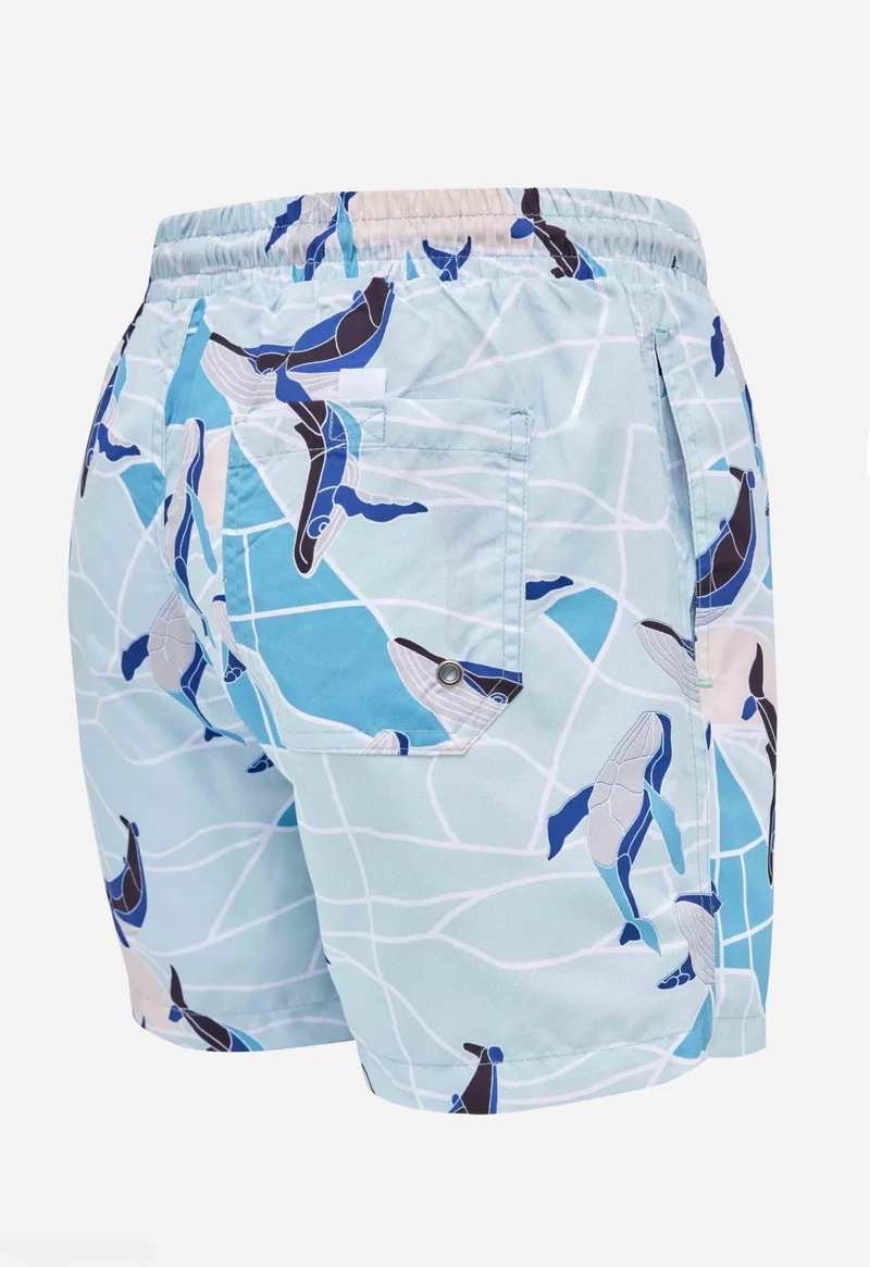تودورس Men's Standard Fit Quick Dry Patterned Swimsuit Swim Shorts