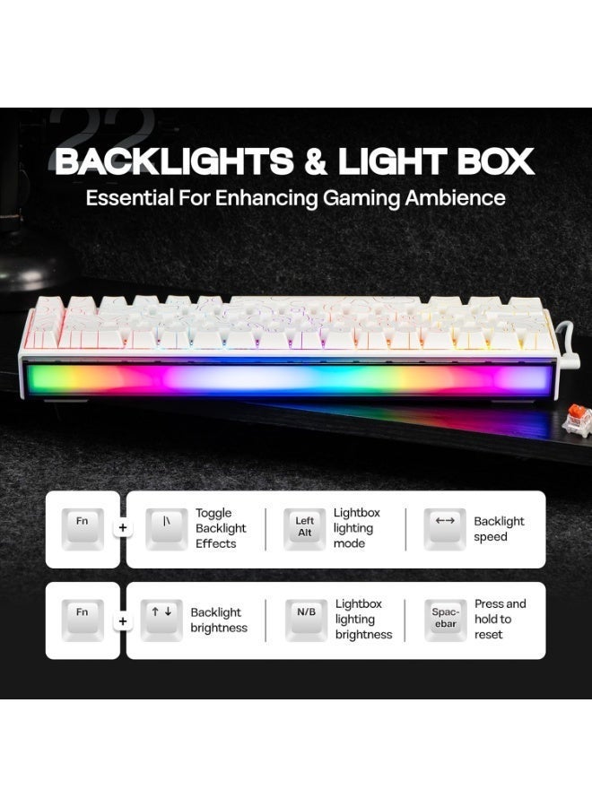 A-JAZZ NK68 65% Mechanical Gaming Keyboard, RGB Lightbox & PBT Side-Printed Keycaps, 1000Hz Polling Rate, NKRO, Hot-Swappable Red Switches, Wired Compact Keyboard for PC/Mac/Android - Pro-Level Performance & Aesthetics - Image 3