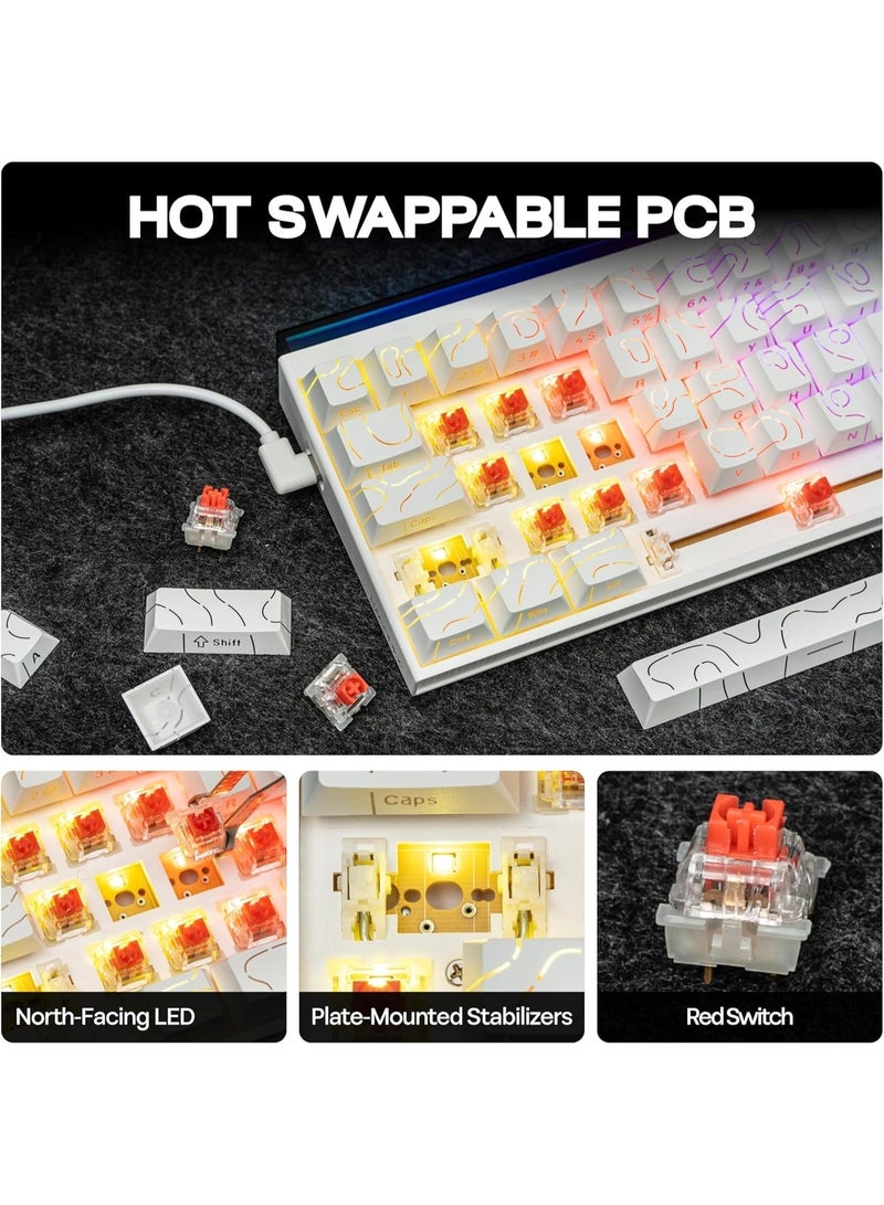 A-JAZZ NK68 65% Mechanical Gaming Keyboard, RGB Lightbox & PBT Side-Printed Keycaps, 1000Hz Polling Rate, NKRO, Hot-Swappable Red Switches, Wired Compact Keyboard for PC/Mac/Android - Pro-Level Performance & Aesthetics - Image 4