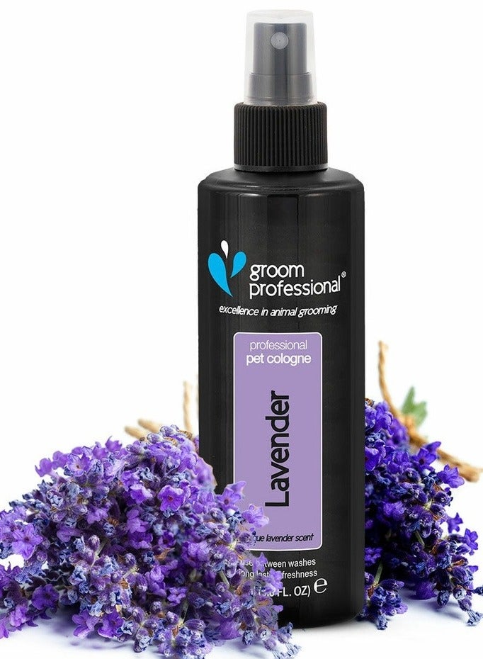 Groom Professional Lavender Pet Cologne 200ml - Image 1