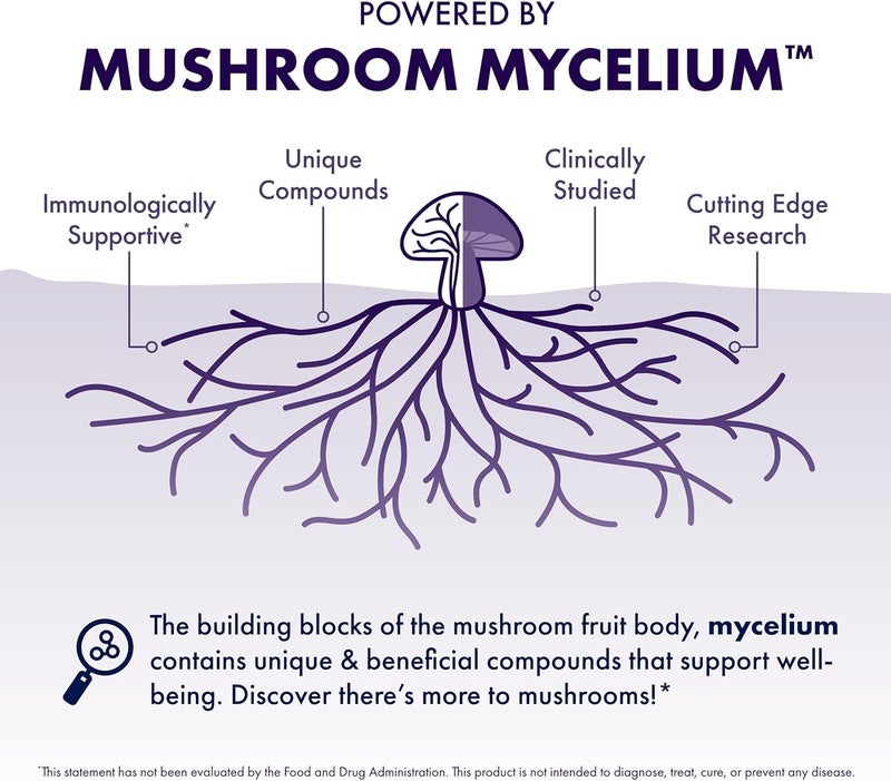 Host Defense MycoBrew Mocha - Superfood Mushroom Drink Mix with Lion's Mane, Cocoa, and 100% Arabica Coffee - 10.6 oz (20 Servings) - Image 4