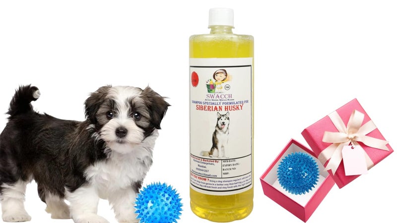 swacch Shampoo | Puppy Safe Shampoo | PH Balanced | Ditch to Itch for Siberian Husky Dog Shampoo 1 Litre (Lemon) + Spike Ball Chew Toy Combo Pack - Image 1