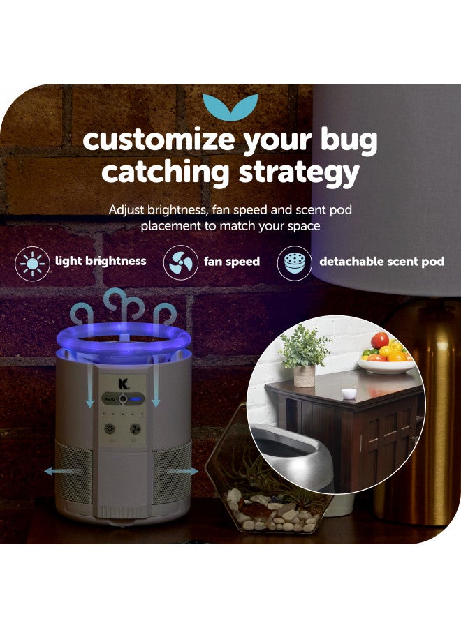 KATCHY Katchy Indoor Fly Trap - Catcher & Killer for Mosquito, Gnat, Moth, Fruit Flies - Non-Zapper Traps for Buzz-Free Home (Duo, Black) - Image 2