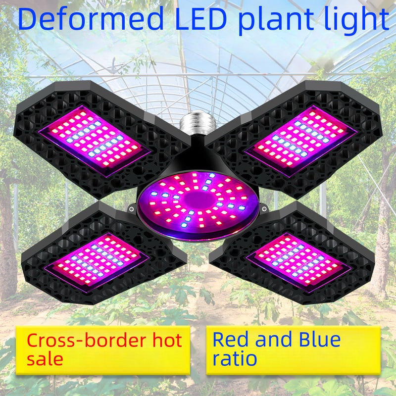 Generic 120W LED Grow Light Red Blue Spectrum Indoor Plant Lamp Red Blue Light 