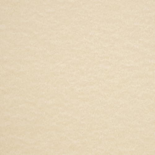 LUXPaper 8.5" x 11" Cardstock | Letter Size | Cream Parchment | 65lb. Cover (120lb. Text) | 50 Qty - Image 4