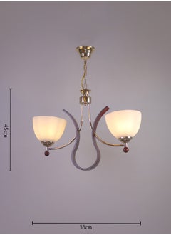 Modern chandelier - J369-2P