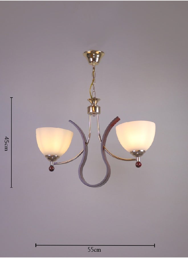 Fiamco - Modern chandelier - J369-2P - Image 1