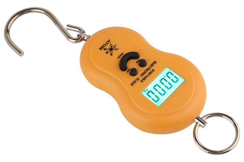 ATOM A 301 Electronic Digital Hanging Stainless Steel Hook Luggage Portable Scale with LCD Display for Industrial Fishing Factory Use Capacity 50Kg (Color may Vary) - Image 4