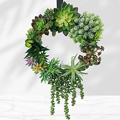 Winlyn 19 Pcs Assorted Artificial Succulents Plants Unpotted Small Green Hanging Succulent Aloe Fake Cacti Succulents Bulk for Succulent Garden Centerpiece Wreath Arrangement Indoor Outdoor Home Decor - Image 4