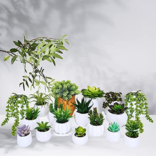Winlyn 19 Pcs Assorted Artificial Succulents Plants Unpotted Small Green Hanging Succulent Aloe Fake Cacti Succulents Bulk for Succulent Garden Centerpiece Wreath Arrangement Indoor Outdoor Home Decor - Image 5