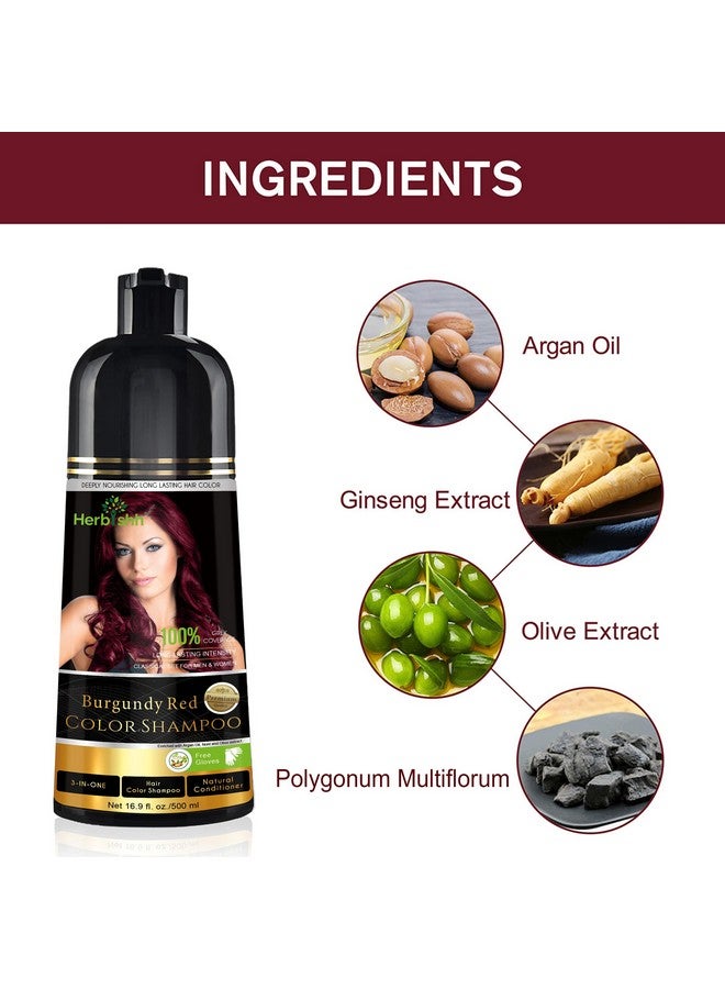 Herbishh Burgundy 3-In-1 Hair Color Shampoo for Gray Hair Magic Hair Dye Shampoo Colors Hair in MinutesLong Lasting500 MlAmmonia-Free - Image 4