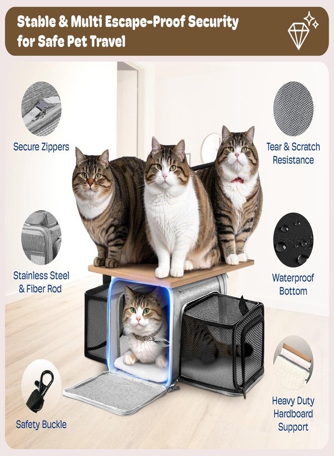 SHARLOVY Top and 2 Sides Expandable Cat Carrier 17x11x11, TSA Airline Approved Dog Carriers for Medium Dogs, Soft-Sided Pet Carrier with Self-Locking Zippers for Kitten,Rabbit, Puppy, Guinea Pig Grey - Image 5