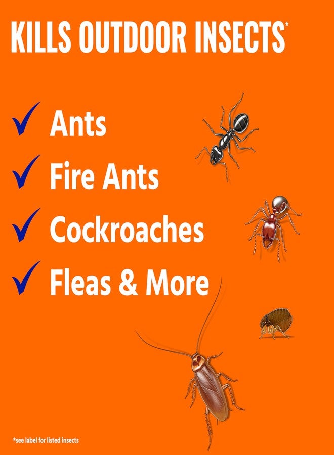 TERRO Ant Killer Plus Multi-Purpose Insect Control for Outdoors - Kills Fire Ants, Fleas, Cockroaches, and Other Crawling Insects - Ant Killing Granules - T901SR, 2 Pack - Image 2