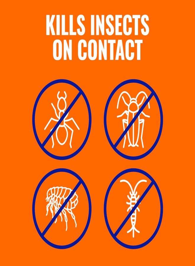 TERRO Ant Killer Plus Multi-Purpose Insect Control for Outdoors - Kills Fire Ants, Fleas, Cockroaches, and Other Crawling Insects - Ant Killing Granules - T901SR, 2 Pack - Image 4