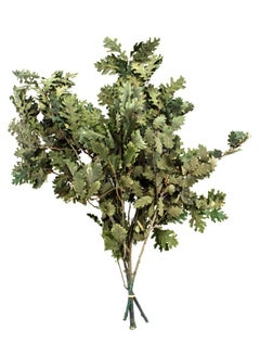 SuperMoss SuperMoss Preserved Oak Leaves with Stem Natural Indoor Fall Décor for Mantels, Wreaths, and Centerpieces, 4 Oz Bunch, Green  - Image 1