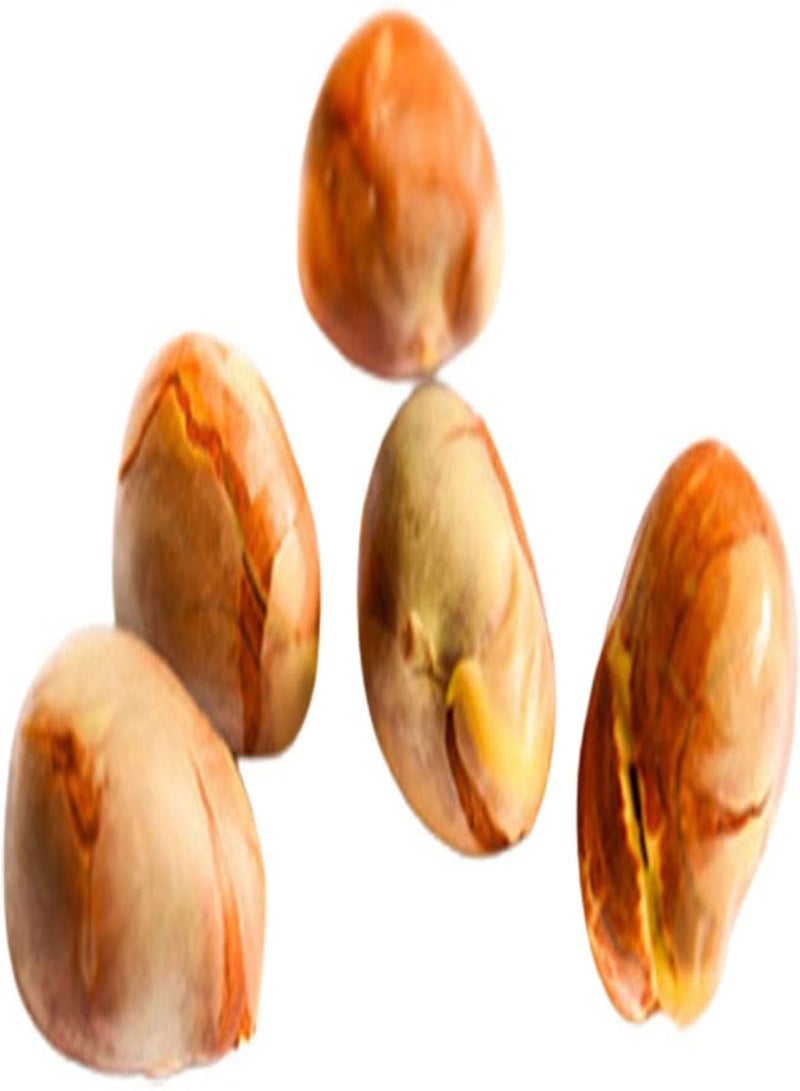 50Pcs/Bag Sugarcane Seeds Non GMO Productive Small Rich Vitamins Sugar Cane Seeds for Garden - Green Sugarcane Seeds