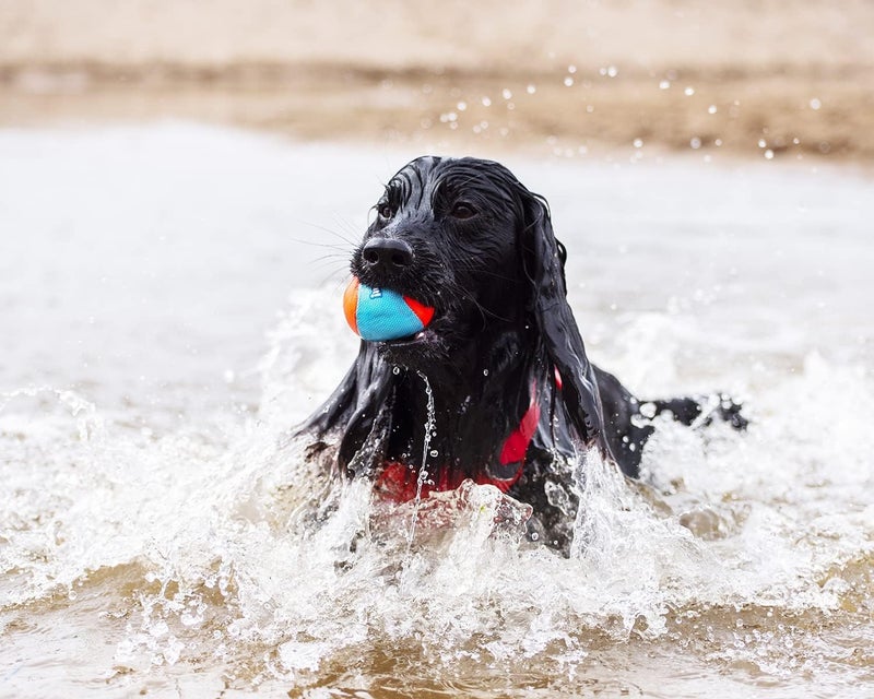 ChuckIt! Amphibious Fetch Balls, Set of 3, Medium - Image 4