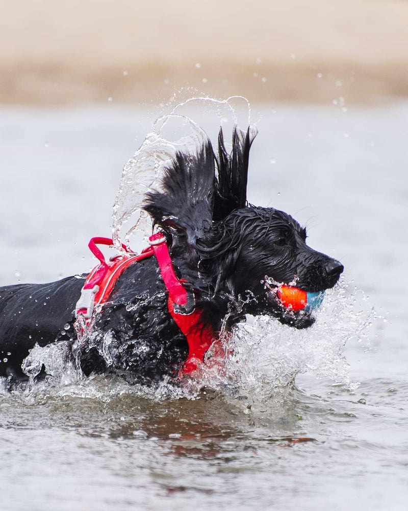 ChuckIt! Amphibious Fetch Balls, Set of 3, Medium - Image 3