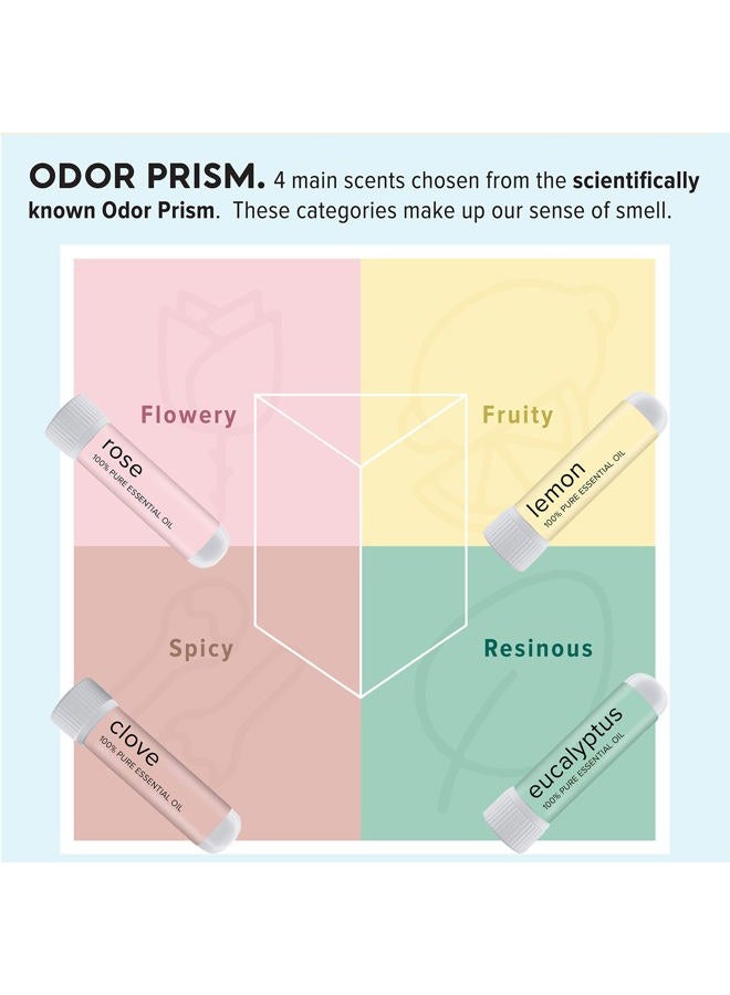 MOXE MOXĒ Smell Training Kit, Made in USA, 4 Essential Oils, Olfactory Regeneration, Helps Restore Sense of Smell, Natural Therapy for Smell Loss (Phase 1) - Image 3