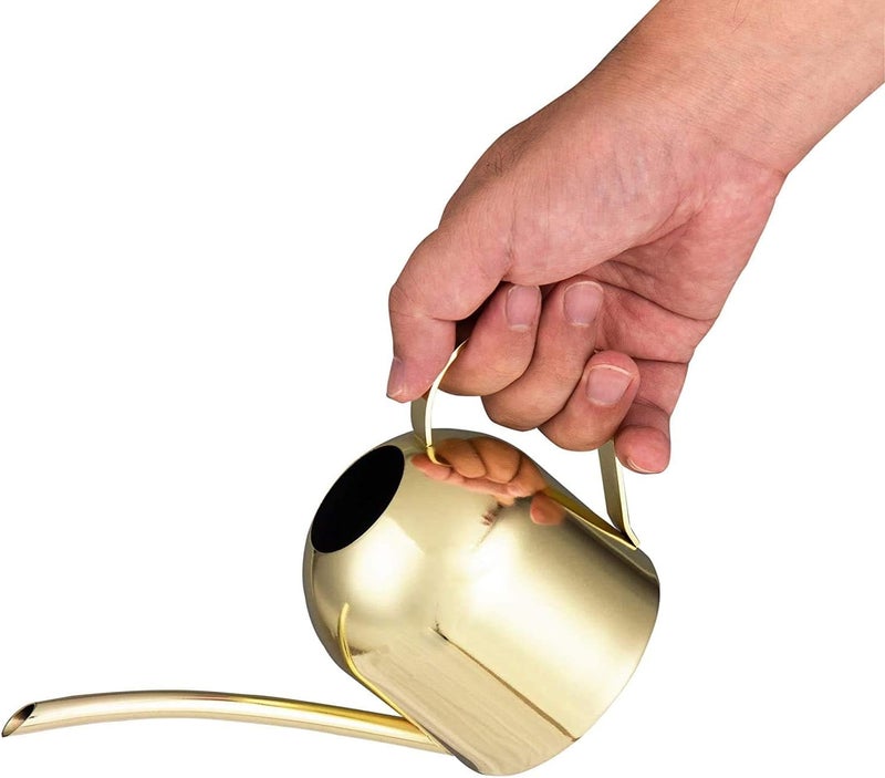 IMEEA Gold Watering Can for Indoor Plants, Orchid, Bonsai - Stainless Steel With Long Spout for House, Desk, Office - 15oz/450ml - Image 5