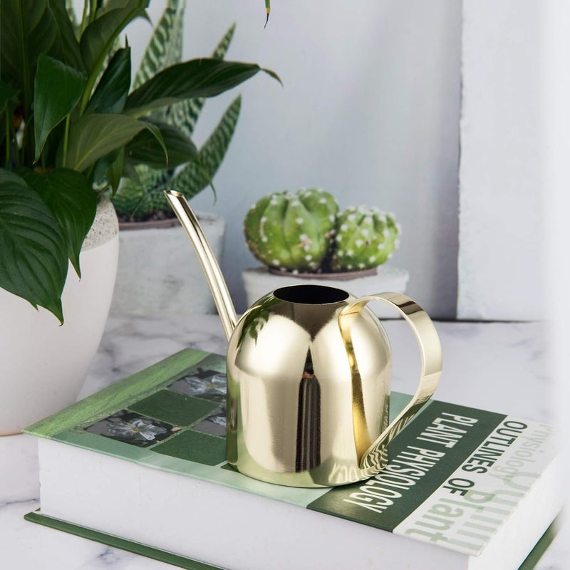 IMEEA Gold Watering Can for Indoor Plants, Orchid, Bonsai - Stainless Steel With Long Spout for House, Desk, Office - 15oz/450ml - Image 4