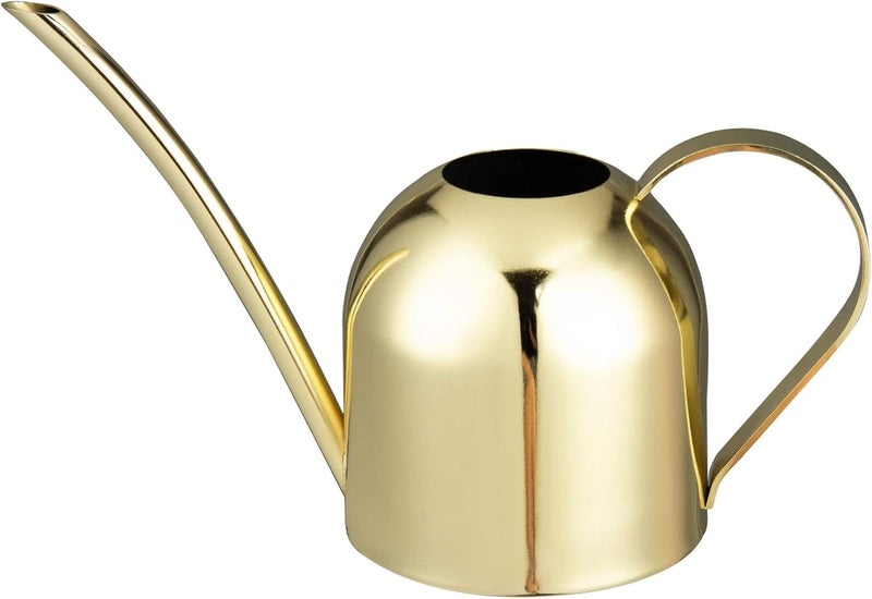 IMEEA Gold Watering Can for Indoor Plants, Orchid, Bonsai - Stainless Steel With Long Spout for House, Desk, Office - 15oz/450ml - Image 1