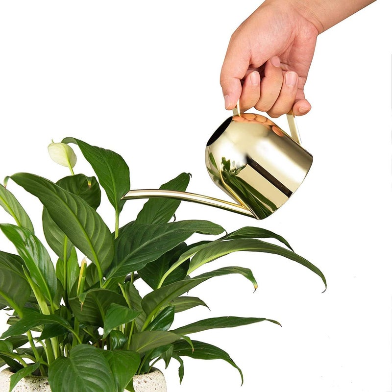 IMEEA Gold Watering Can for Indoor Plants, Orchid, Bonsai - Stainless Steel With Long Spout for House, Desk, Office - 15oz/450ml - Image 3