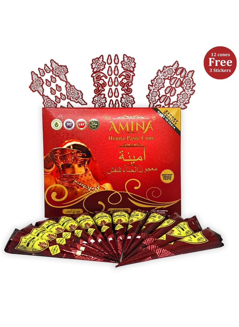 أمينا حناء أمينة سريعة التحضير، مخروط حناء | مع مجموعة مجانية من 3 ملصقات/استنسلات كاملة | بدون مواد كيميائية | يدوم طويلاً | عبوة من 12 قطعة، كل منها 25 غرامًا | لون أحمر كرزي - Image 1