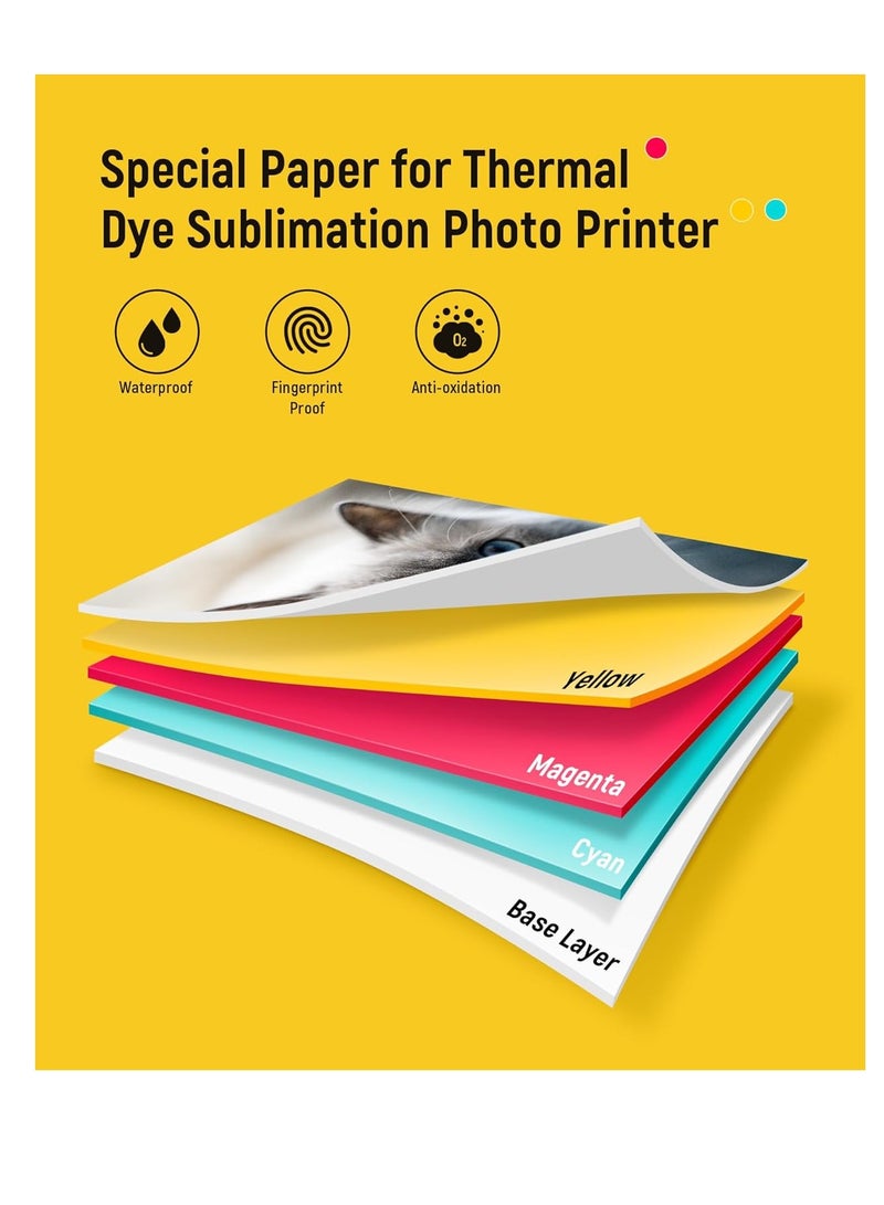 ليين ورق وطابعة الصور من Liene، عبوتان حبر إضافيتان و80 ورقة صور، مقاس 4×6 بوصة، طباعة حرارية، مقاوم للماء والأكسدة، متوافق مع طابعة Liene، للعرض والتأطير وسجل القصاصات - Image 5