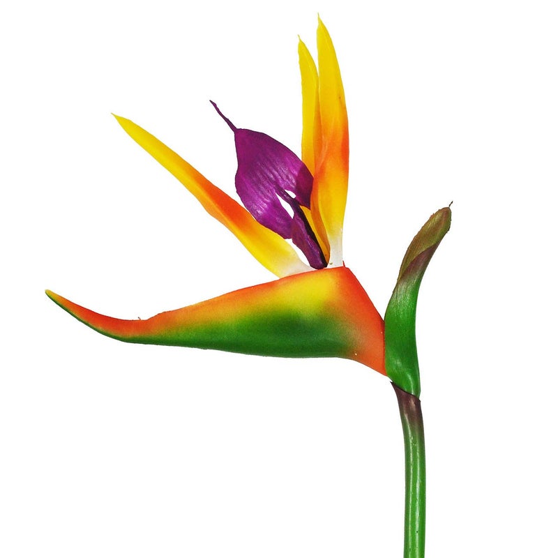 Beebel Artificial Flowers Bird of Paradise Greenery Plants Indoor Outside Garland Home Garden Office Verandah Wedding Decorations 6pcs (Yellow, 6 Pack) - Image 3