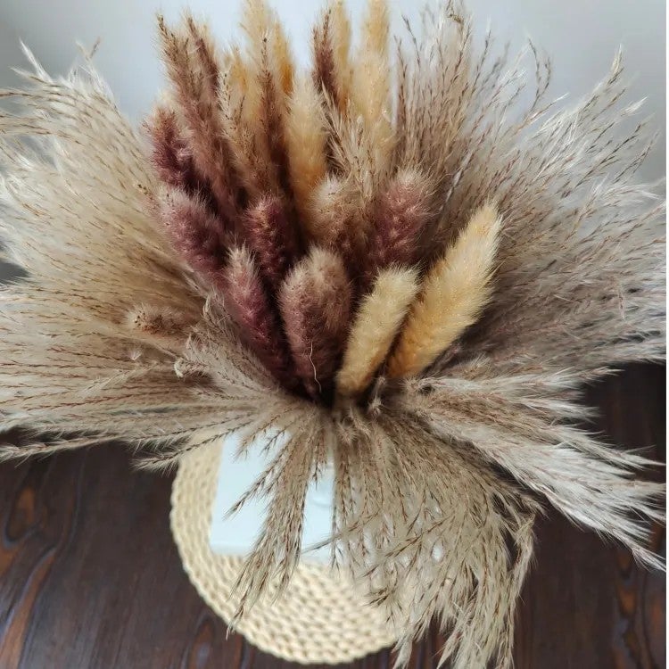 Bluejw Natural Dried Pampas Grass Bouquet - Real Cotton & Boho Flowers, Preserved Mixed Arrangement, Home Decor, Valentine's Day Gift, Dried Plants - Image 1
