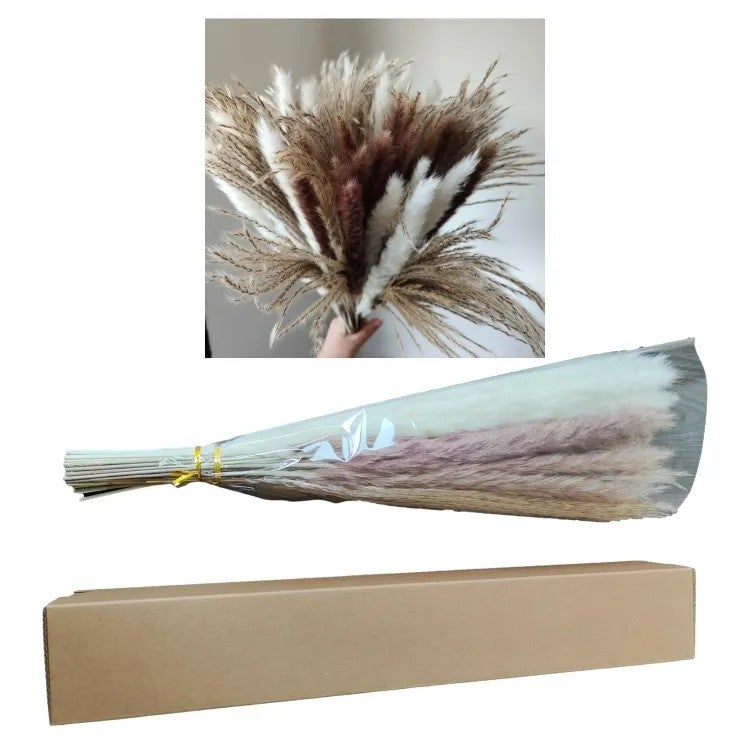 Bluejw Natural Dried Pampas Grass Bouquet - Real Cotton & Boho Flowers, Preserved Mixed Arrangement, Home Decor, Valentine's Day Gift, Dried Plants - Image 2