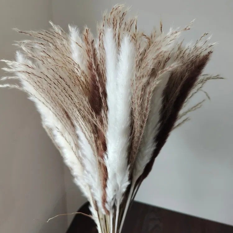 Bluejw Natural Dried Pampas Grass Bouquet - Real Cotton & Boho Flowers, Preserved Mixed Arrangement, Home Decor, Valentine's Day Gift, Dried Plants - Image 3