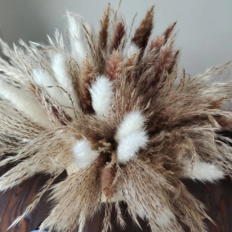 Bluejw Natural Dried Pampas Grass Bouquet - Real Cotton & Boho Flowers, Preserved Mixed Arrangement, Home Decor, Valentine's Day Gift, Dried Plants - Image 5