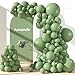 Amandir 153pcs Sage Green Balloons Arch Garland Kit Different Size 18 12 10 5 Inch Olive Dusty Light Green Latex Balloon Birthday Wedding Engagement St Patricks Jungle Bridal Shower Party Decoration - Image 2
