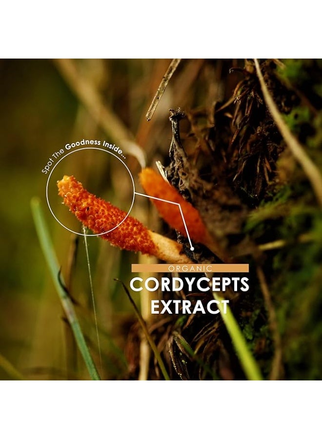 ALPHA01 Organic Cordyceps Extract 7500mg – Supports Energy & Immunity, 90 Capsules - Image 5